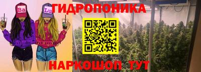 шишки Краснокаменск