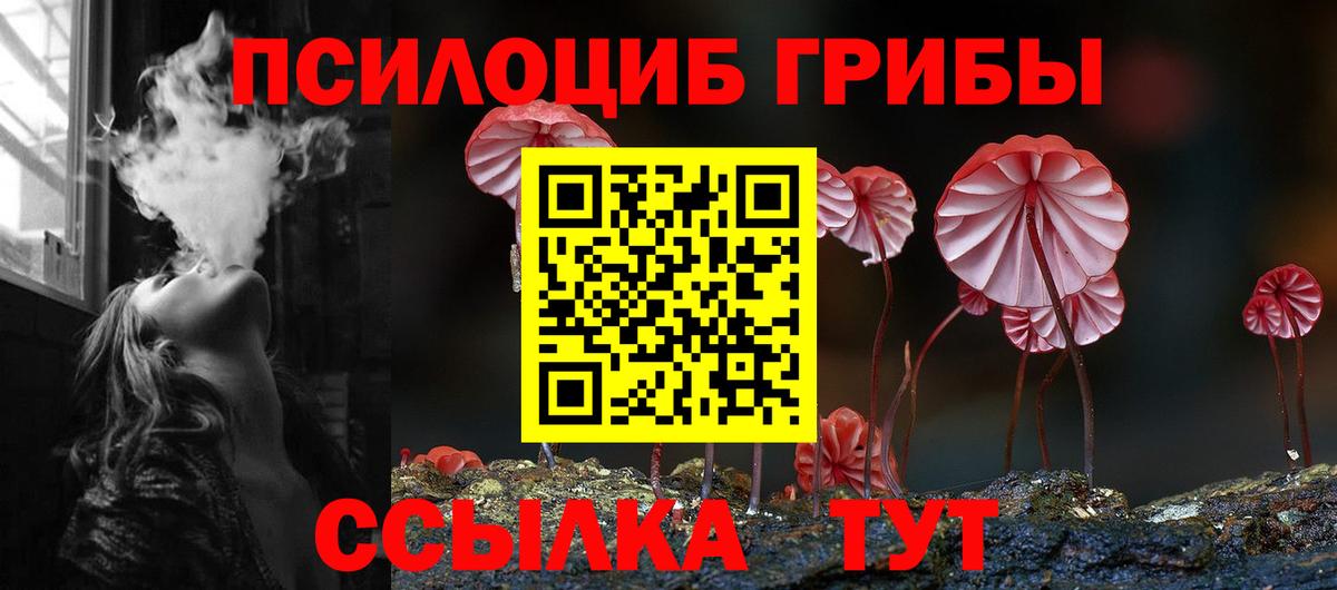 Псилоцибиновые грибы прущие грибы Донской
